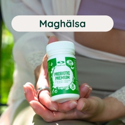 Maghälsa